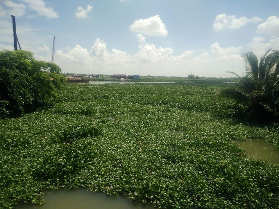 Kênh Hòa Bình dẫn ra sông Đa Độ.