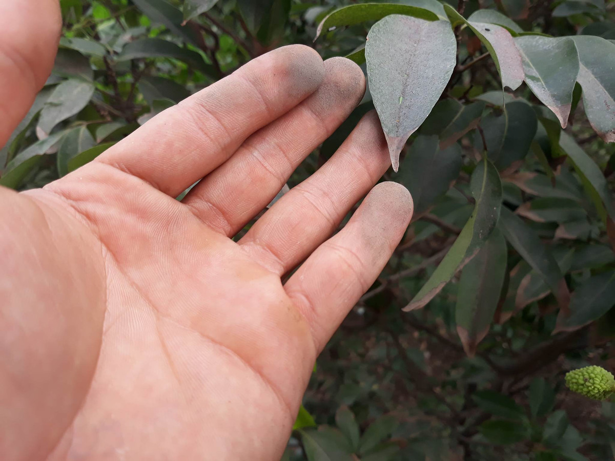 Thep Hoa Phat gay o nhiem: Dan khoc... chinh quyen “doi mu phot”-Hinh-5