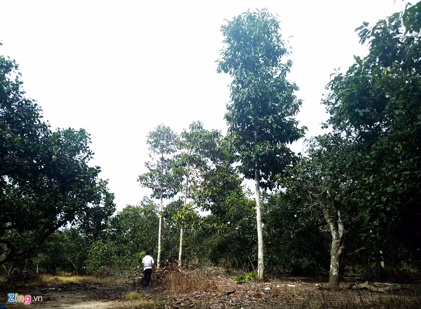Cơ quan chức năng đang vào cuộc điều tra để có hướng xử lý những người liên quan.
