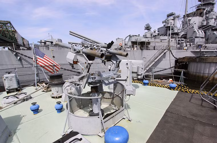 Ngoài AK-630, để chống máy bay địch, tàu tên lửa Tarantul-I còn được trang bị bệ phóng FAM-14 trang bị đạn tên lửa của tổ hợp tên lửa vác vai 9K32 Strela-2 (hay còn được biết đến là SA-7). Nó có thể hạ máy bay ở khoảng 3-4km, độ cao bắn hạ 50m tới 1.500m.