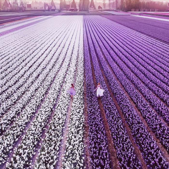 Khung cảnh đẹp tuyệt vời ở Feild, Phần Lan chắc chắn sẽ làm bạn choáng ngợp.