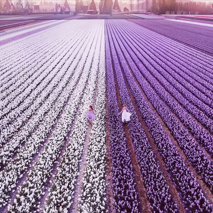 Khung cảnh đẹp tuyệt vời ở Feild, Phần Lan chắc chắn sẽ làm bạn choáng ngợp.