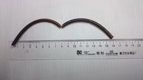 Hy huu nhung ca hoc di vat nguy hiem o Viet Nam-Hinh-5