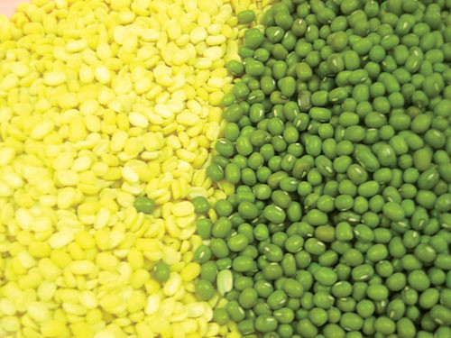  Đậu xanh Đông y cho rằng đậu xanh có thể làm sạch mát nước tiểu, chữa lở loét, làm sáng mắt, nhuận họng, hạ huyết áp, mát buồng mật, bổ dạ dày, hết đi tả, thích hợp với các bệnh nhân say nắng, miệng khát, người nóng, thấp nhiệt, ung nhọt, đậu mùa.