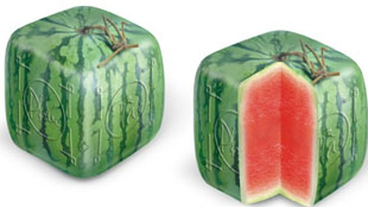 Giới nhà giàu Hà Nội đang đua nhau bỏ ra khoảng 4,5 triệu đồng để mua một quả dưa hấu hình vuông lạ mắt. Ảnh: Internet.