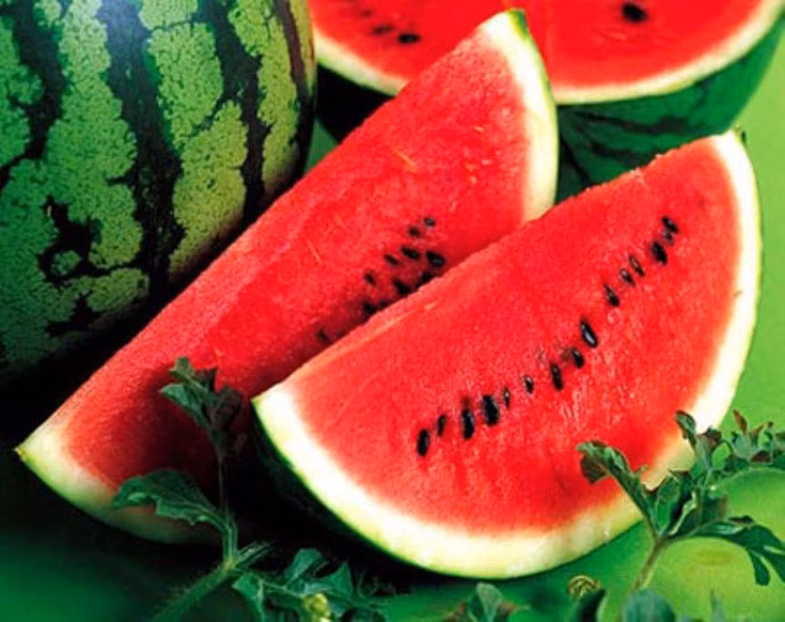  Dưa hấu Không là lạ gì khi dưa hấu xuất hiện trong danh sách các thức ăn giải nhiệt cơ thể tốt nhất mùa hè. “Thiên nhiên bạch hổ thang” là mỹ từ được người xưa đặt cho món này để ca ngợi tác dụng thanh nhiệt không hề thua kém gì bạch hổ thang – một trong những bài thuốc điển hình về thanh nhiệt tả hỏa.