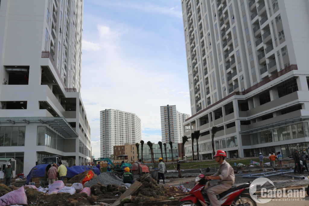 Can canh khu dat cong ban re cho Dat Xanh dang bi dieu tra-Hinh-12