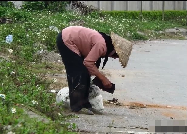 Ảnh cắt ra từ clip.