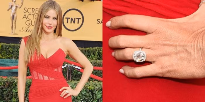 Để đổi lấy cái gật đầu đồng ý của Sofia Vergara, nam diễn viên Joe Manganiello đã phải chuẩn bị một chiếc nhẫn kim cương trị giá tới 500.000 USĐ (hơn 11 tỉ VNĐ)