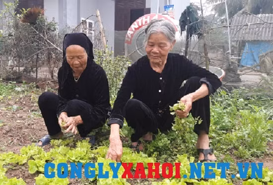 Chuyen co tich cua hai nguoi phu nu chung chong suot nua the ky