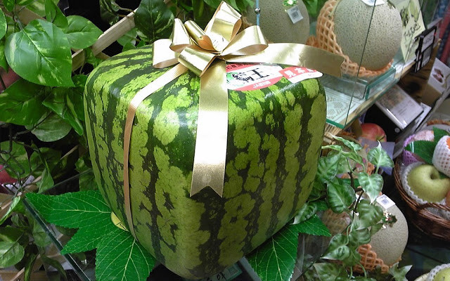 Tại Việt Nam, loại dưa hấu độc lạ này thường được mua để làm quà biếu sang chảnh. Ngoài ra, giới nhà giàu mua để thưởng thức, thỏa mãn sự tò mò. Ảnh: traicaydungmap.blogspot.