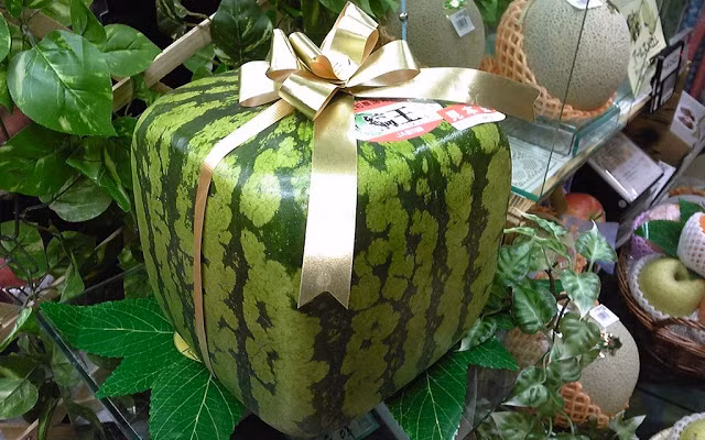 Tại Việt Nam, loại dưa hấu độc lạ này thường được mua để làm quà biếu sang chảnh. Ngoài ra, giới nhà giàu mua để thưởng thức, thỏa mãn sự tò mò. Ảnh: traicaydungmap.blogspot.