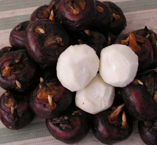  Củ mã thầy Mã thầy có tính hàn, vị ngọt, lành tính, có tác dụng thanh nhiệt, hỗ trợ giảm nguy cơ mắc các bệnh viêm môi miệng, viêm đường hô hấp, viêm dạ dày và ruột, tiêu đờm, tiêu thực. Chính vì vậy, danh sách củ quả giải nhiệt mùa hè không thể thiếu loại thực phẩm này.