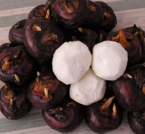  Củ mã thầy Mã thầy có tính hàn, vị ngọt, lành tính, có tác dụng thanh nhiệt, hỗ trợ giảm nguy cơ mắc các bệnh viêm môi miệng, viêm đường hô hấp, viêm dạ dày và ruột, tiêu đờm, tiêu thực. Chính vì vậy, danh sách củ quả giải nhiệt mùa hè không thể thiếu loại thực phẩm này.