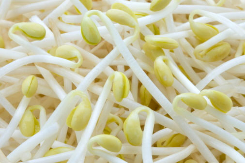  Giá đỗ Giá đỗ là một loại thực vật có tính mát, chứa nhiều dinh dưỡng, ngọt mát và được nhiều người ưa chuộng để chế biến món ăn trong mùa hè. Loại rau này được làm theo cách thông thường là chỉ ngâm ủ truyền thống thì rất sạch sẽ.