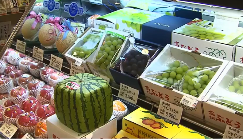 Ở Nhật Bản, mỗi quả dưa hấu vuông có giá 100 – 200 USD. Tại thị trường nước ngoài, giá của chúng có thể lên tới 800 USD, tương đương 18 triệu đồng.