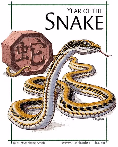 Hơn nữa, tình duyên cũng gặp nhiều trắc trở, hợp tan nhiều lần. Phải đến cuối năm 2017, tài vận người tuổi Tỵ mới dần cải thiện. Ảnh: Printest.