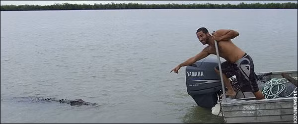 Nhìn bức ảnh này, người xem có thể cảm thấy chẳng có gì nguy hiểm và may mắn ở đâu? (Nguồn Boredomtherapy)