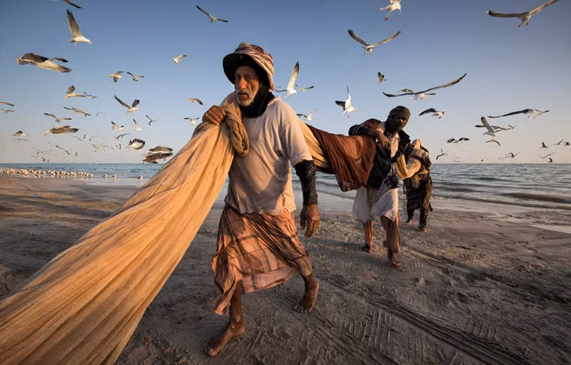 Họ liên tục đánh bắt những mẻ cá mòi cực lớn bằng thuyền, bằng sức người.