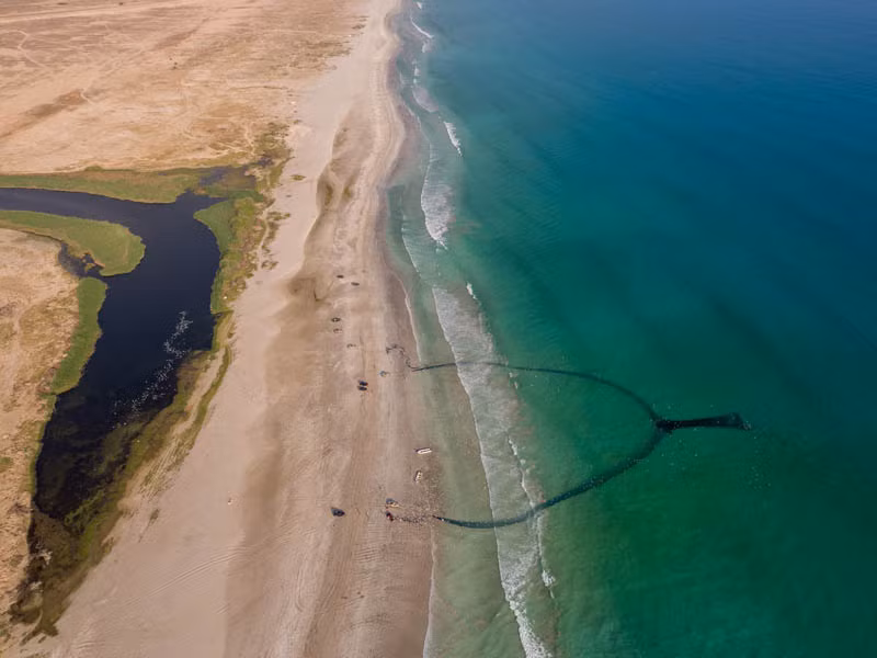 Được biết, hằng năm cứ vào thời gian này, cá mòi sẽ di cư từ Ấn Độ Dương đến bờ biển ấm hơn ở châu Phi.