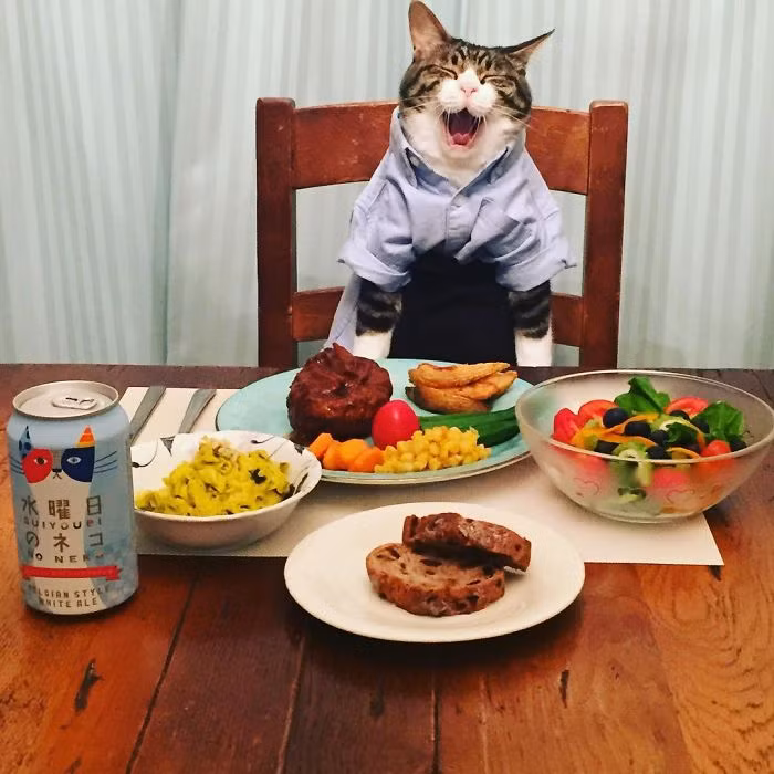 Theo thông tin đăng tải, Maro sống chung với Rie Matsui, một người phụ nữ ở Nhật Bản. (Nguồn Bored Panda)