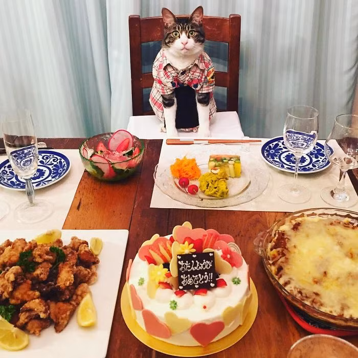 Instagram của Maro không chỉ giúp người xem tìm được cảm hứng mới, mà còn giúp họ bước vào một cuộc hành trình ẩm thực thông qua các món ăn nổi tiếng trên thế giới. (Nguồn Bored Panda)