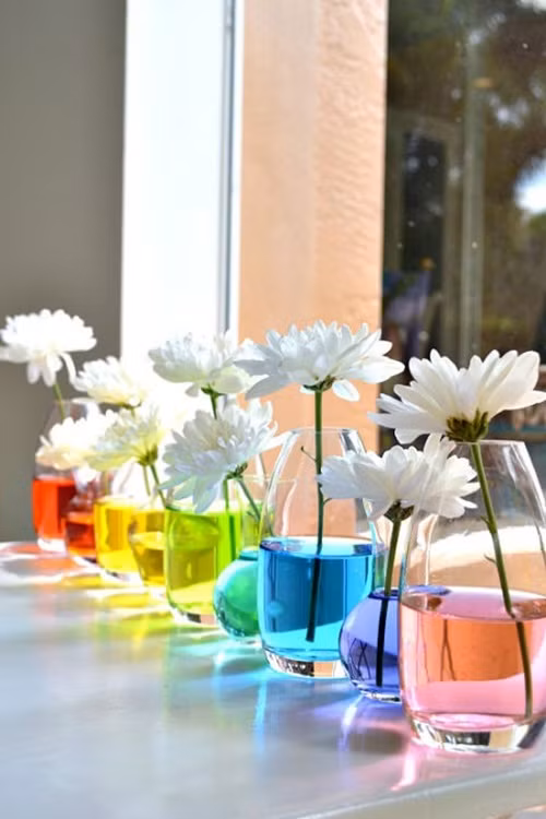 Thay vì chọn những bông hoa nhiều màu sắc, hãy thử chọn những bông hoa trắng như hoa hồng, hoa cúc, hoa mai và cắm trong những bình nước đầy màu sắc.