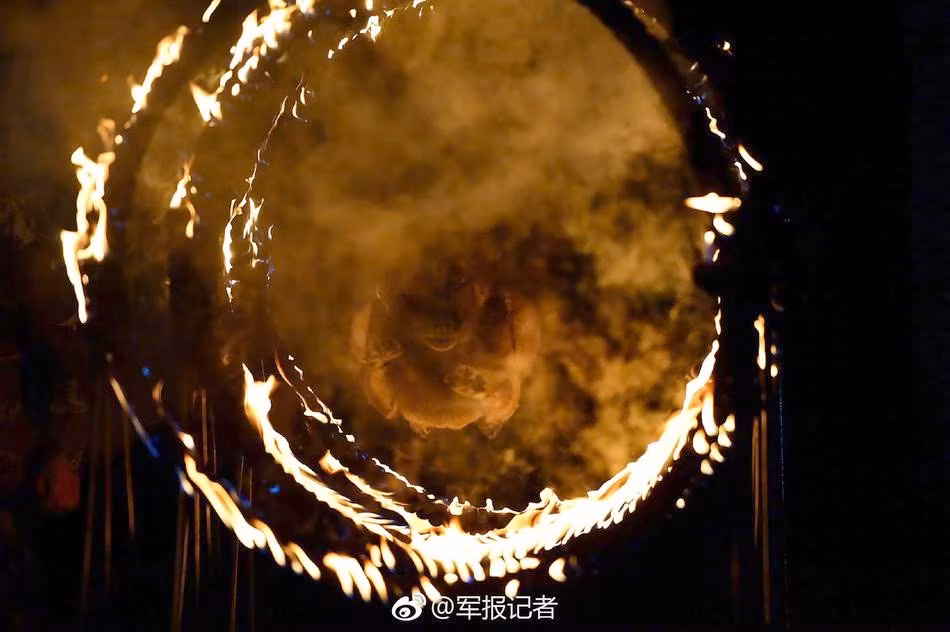 Tuyển chọn và huấn luyện chó nghiệp vụ chưa bao giờ là dễ dàng. Mới đây, những hình ảnh tại trại huấn luyện chó nghiệp vụ ở núi Mai Lâm, Thâm Quyến, Quảng Đông, Trung Quốc đã khiến nhiều người phải ngỡ ngàng. (Nguồn Sina)