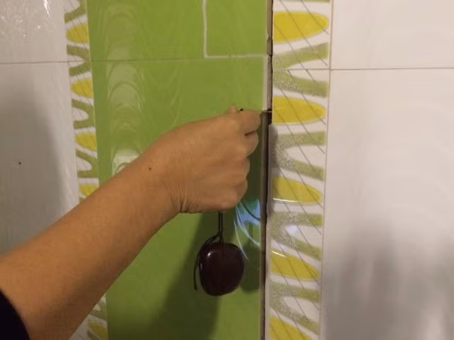 Cuong cuong duoi khach tro vi nha nut toac nhu dong dat-Hinh-5