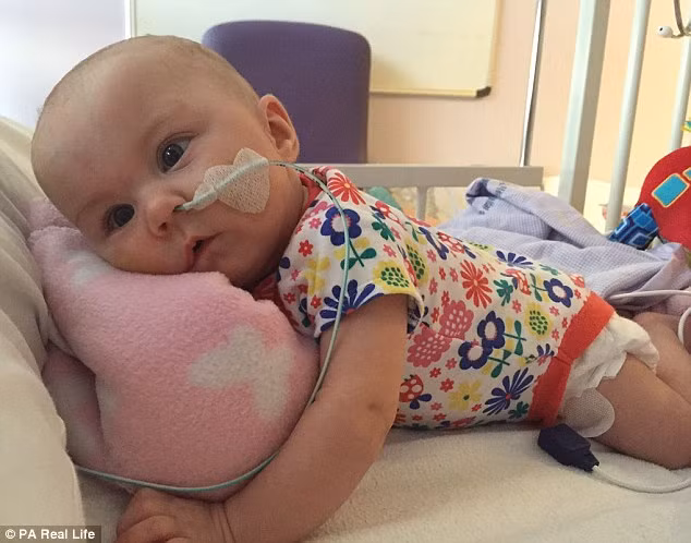 Be dang hap hoi, song lai than ky nho chi lam dieu vo bo-Hinh-2