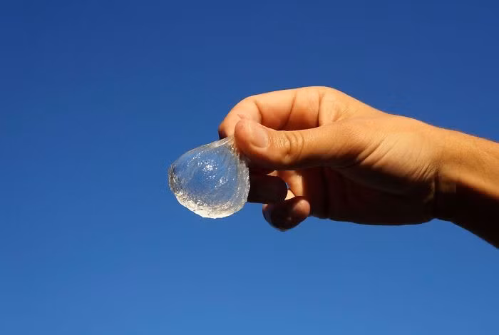 Theo thông tin đăng tải, sản phẩm này được làm từ muối Natri của Axit alginic, một dạng muối có trong loại tảo biển tự nhiên và Calcium chloride. (Nguồn Bored Panda)