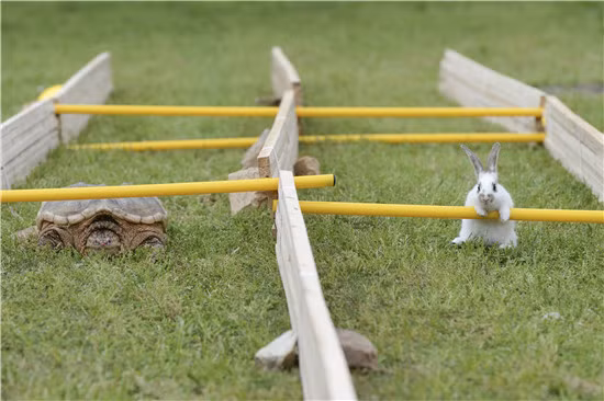 Chú ta thậm chí đu ngang chướng ngại vật, không chịu bật sang, chờ đợi đối thủ của mình để cuộc đua thêm phần kịch tính. (Nguồn Sina)