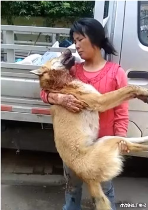 Cho bi cat dut co, van co lam dieu ai cung roi nuoc mat-Hinh-3