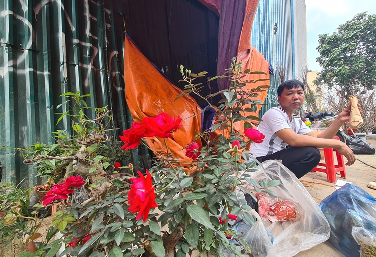 Vẻ buồn bã của tiểu thương hiện rõ trên khuôn mặt vì hoa đã giảm giá nhưng chỉ lác đác vài vị khách đến ngó nghiêng.