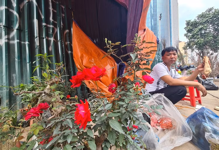 Vẻ buồn bã của tiểu thương hiện rõ trên khuôn mặt vì hoa đã giảm giá nhưng chỉ lác đác vài vị khách đến ngó nghiêng.