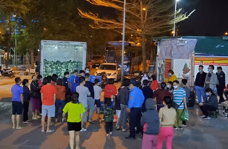 Nguoi Ha Noi xuyen dem “giai cuu” nong san Hai Duong