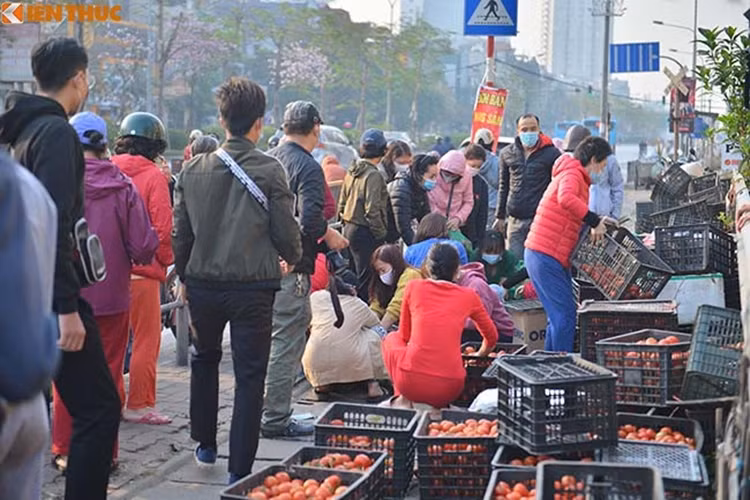 Trước đó, nhằm hỗ trợ bà con vùng dịch, nhiều mạnh thường quân đã nhanh chóng đứng ra thu mua nông sản và bán lại với giá rẻ tại số 38 Giải Phóng, 157 Lạc Nghiệp (Hà Nội). Chiến dịch “giải cứu” nông sản cho bà con vùng dịch được nhiều người dân Hà Nội hưởng ứng nhiệt tình.