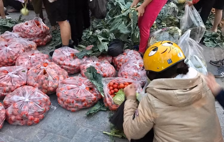 Đại diện Tỉnh đoàn Hải Dương cho báo chí biết, Tỉnh đoàn đã huy động đoàn viên thanh niên thu hoạch cùng bà con nông dân từ ngày 17/2. Ban đầu, thanh niên vận chuyển nông sản đến các khu cách ly trong tỉnh như: Kim Thành, Tứ Kỳ, Gia Lộc với tổng số trên 30 tấn rau củ quả các loại. Sau đó, Tỉnh đoàn phối hợp với một số doanh nghiệp vận chuyển nông sản lên Hà Nội giúp bà con tiêu thụ.