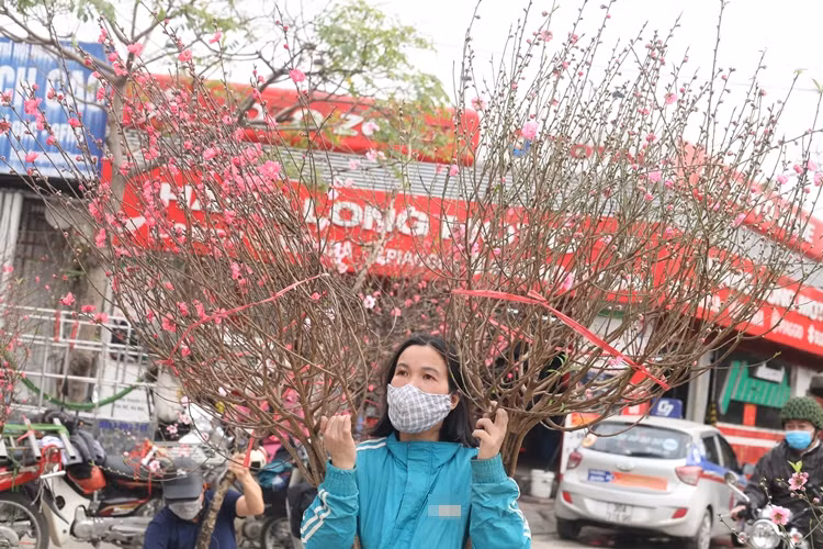 Những cành đào nhỏ được bán ở đây giao động giá từ 150 - 300 nghìn đồng/cành.