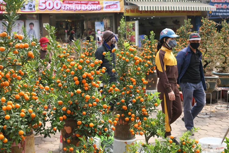 Thỉnh thoảng xuất hiện một vài vị khách, nhưng họ cũng chỉ ngó nghiêng một chút rồi nhanh chóng rời đi.