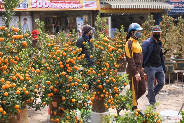Thỉnh thoảng xuất hiện một vài vị khách, nhưng họ cũng chỉ ngó nghiêng một chút rồi nhanh chóng rời đi.