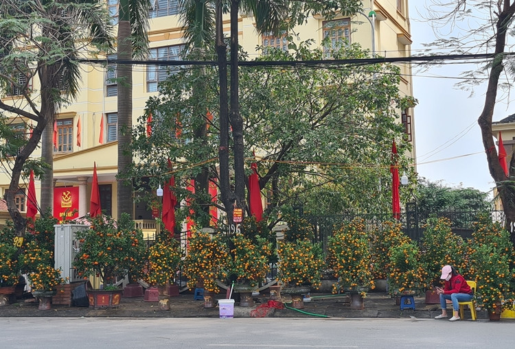 “Công sức vất vả cả năm trời chỉ mong buôn bán dịp Tết này, nhưng do dịch bệnh phức tạp, người dân lo ngại tập trung nơi đông đúc nên ít ai đến chợ. Buồn quá”, một tiểu thương chia sẻ.