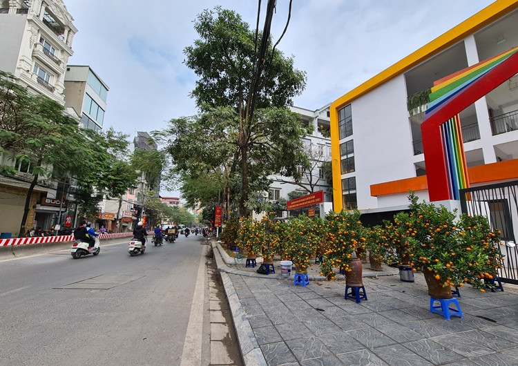 Hàng năm, những ngày cận Tết Nguyên đán, chợ hoa ở khu vực đường Bưởi, Lạc Long Quân (Hà Nội) luôn tấp nập “kẻ bán, người mua”. Năm nay, thị trường hoa Tết ở đây đang rơi vào cảnh đìu hiu, vắng vẻ do ảnh hưởng của dịch bệnh COVID-19.