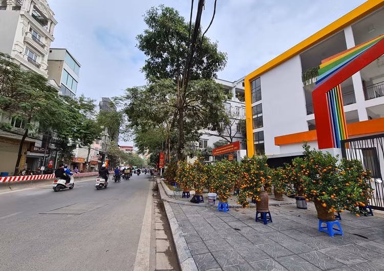 Hàng năm, những ngày cận Tết Nguyên đán, chợ hoa ở khu vực đường Bưởi, Lạc Long Quân (Hà Nội) luôn tấp nập “kẻ bán, người mua”. Năm nay, thị trường hoa Tết ở đây đang rơi vào cảnh đìu hiu, vắng vẻ do ảnh hưởng của dịch bệnh COVID-19.