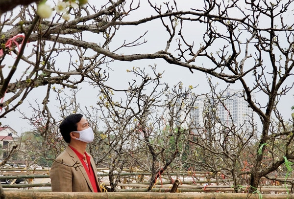 Bên cạnh đó, khi cắm hoa lê còn là biểu tượng cho sự hiếu thảo của con cháu đối với ông bà, tổ tiên.