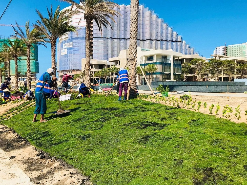 Du an The Arena vuong nhieu lum xum: CDT Tran Thai Cam Ranh noi gi?-Hinh-2