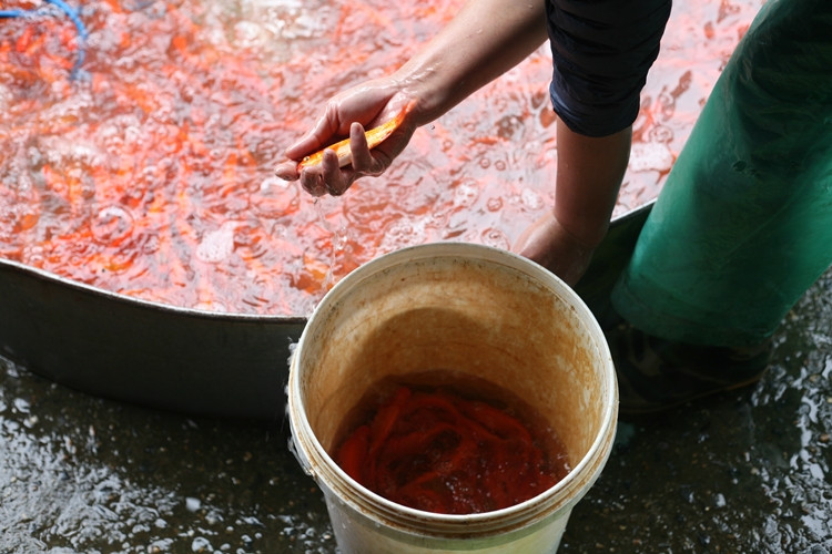 "Mọi năm tôi mang 1 tấn cá lên chợ nhưng do năm nay dịch bệnh COVID-19, sợ người dân không đi mua cá dẫn đến bán không hết hàng nên số lượng giảm đi gần một nửa", - một tiểu thương chia sẻ.