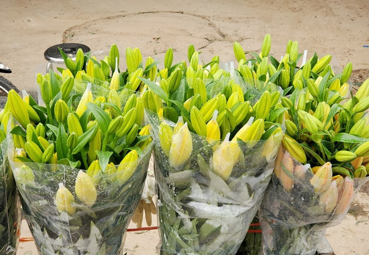 Một bó hoa ly vàng thơm, gồm 10 cành, bông to, có từ 6-9 tai bán 100 nghìn đồng ở chợ hoa Quảng Bá.