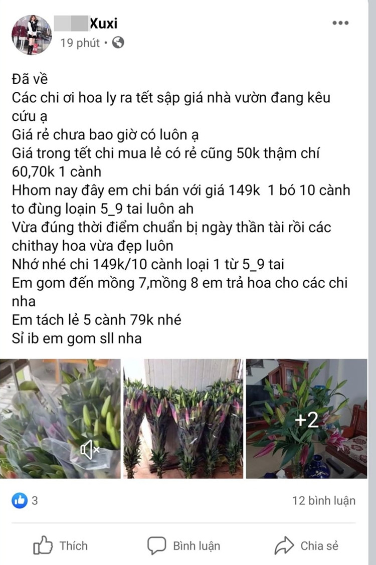 Mức giá hoa ly bán online như thế này đã giảm hơn 50% so với giá cách đây không lâu.