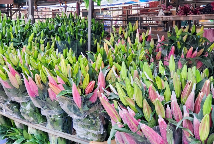 Tại chợ hoa Quảng Bá (Hà Nội), một bó hoa ly vàng thơm, bông to, có từ 6-9 tai đang độ đẹp, hay hoa ly đỏ bông to được bán mức giá 100 nghìn đồng/bó 10 cành.